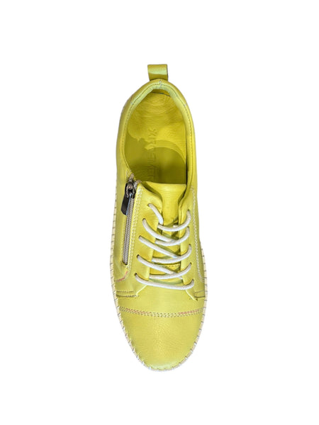 Roamer Atlanta