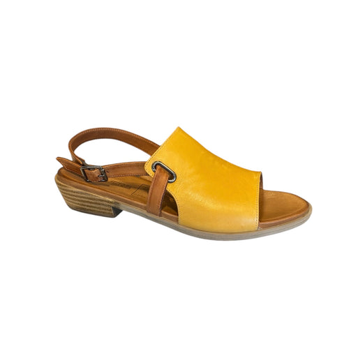 Roamer Jude