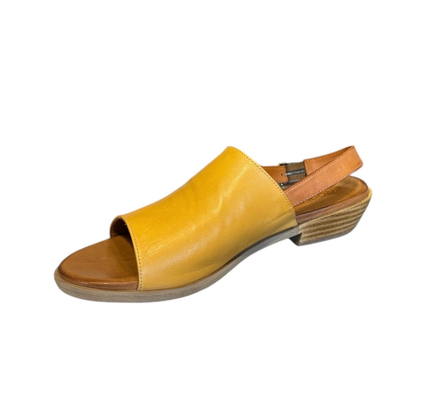 Roamer Jude